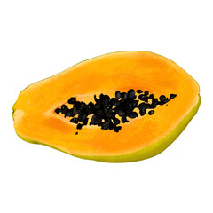 Procreate papaya digital illustration isolated on white background. Healthy food fruit hand painted stylized illustration for cook book, menu, recipe book, kitchen textile and fabric. 