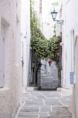 Fototapeta na wymiar Cyclades, Greece. Ios, Nios island, Chora. Whitewashed buildings and narrow cobblestone alley.