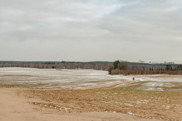 Moody winter landscape with dark trees on covered with fresh fallen snow field in wintry field on cold gloomy day