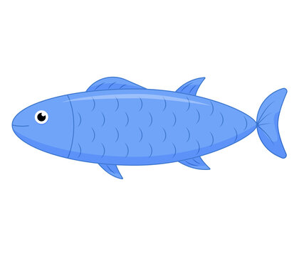 Cute sea fish. Vector cartoon character in ocean. Tropical fish