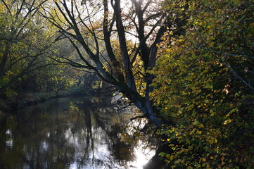 Herbst Landschaft am Fluss B&ouml;hme in Walsrode, Niedersachsen