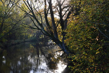 Herbst Landschaft am Fluss Böhme in Walsrode, Niedersachsen
