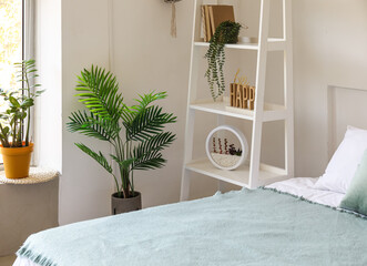 Big comfortable bed and houseplants in modern room
