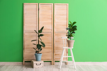 Composition with folding screen, stool and houseplants near color wall in room
