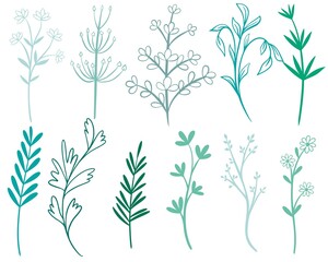 Greenery set isolated vector illustration. Collection of herbs, twigs and deciduous branches. Botanical natural decorations for cards, banners and invitations