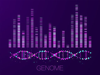 Fototapeta premium Big genomic data visualization
