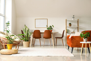 Interior of light living room with chairs, sofa and houseplants