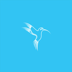 Colibri Logo Vector Line Art Templates