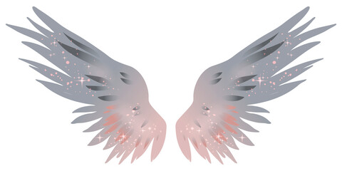 Beautiful magic pink grey angel wings, color vector illustration