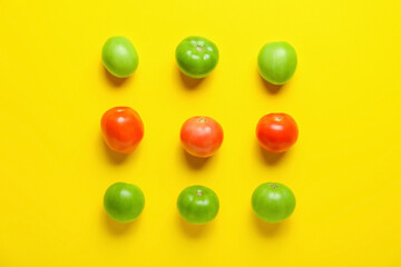 Obraz premium Green and ripe tomatoes on yellow background