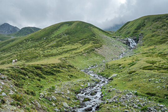 Mountain river Chilik, tourist resort of Arkhyz.