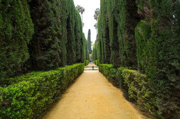 View of the garden in the Alcazar palace