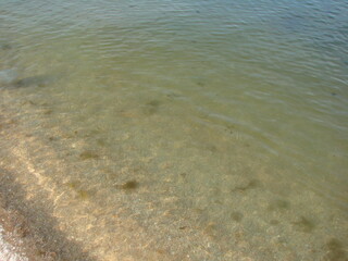 Picture of a sandy bottom covered with small sea vegetation through the prism of transparent salt water.