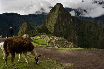 machu picchu peru'