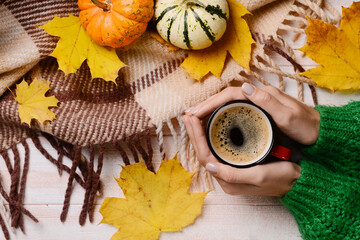 Female hands with cup of coffee, ripe pumpkins and autumn leaves on light wooden background, closeup