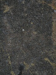 courtyard texture on the uneven background of the building