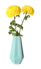 Vase of yellow chrysanthemum flowers on white background