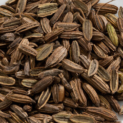 Fototapeta premium Detailed and large close up shot of fennel seeds & spice.