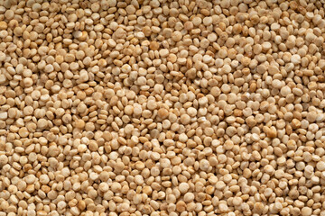 Detailed and large close up shot of quinoa.