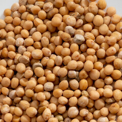 Detailed and large close up shot of mustard seeds & spice.