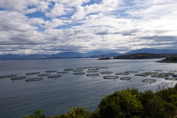 View of the sea food farms.