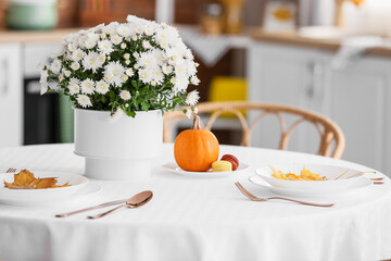 Dining table with beautiful Chrysanthemum flowers in kitchen