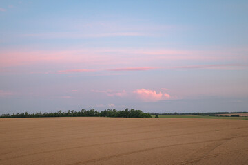 pink clouds at sunset over a yellow wheat field in autumn in the Krasnodar Territory