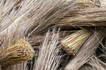 bundles of thatch grass