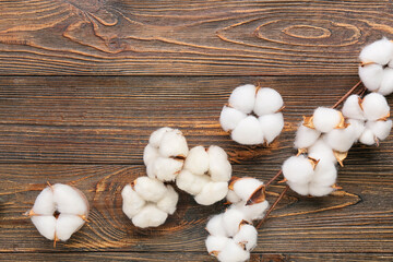 Cotton flowers on wooden background