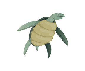 Turtle character. Green sea or ocean tortoise swimming. Wildlife animal in shell. Flat  illustration isolated on white background