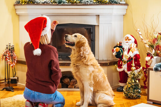 Photo Of Young Woman And Her Pet Enjoying At Home On A Christmas Day. Christmas In Our Home.  Celebrating Christmas And Upcoming Holidays Alone With A Pet. Woman At Home With Her Dog At Christmas Time