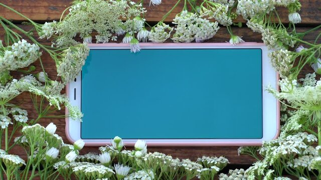 Close-up top view flatlay 4k stock video footage of white cellular cell phone with blank blue screen laying on brown wooden table surrounded with cute simple white  meadow flowers blown by light wind