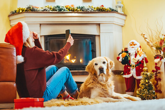 Young woman decorates Christmas tree at home while video calling her family with her dog. Woman  having video call over mobile phone. Christmas morning with my friend over a video call