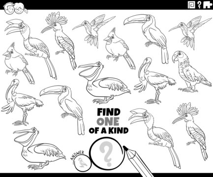 one of a kind game with cartoon birds coloring book page
