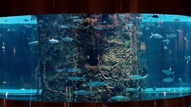 The largest aquarium in Europe.
