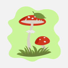 fly mushrooms