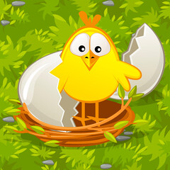 Fototapeta premium Newborn chick from an egg in nest on grass.
