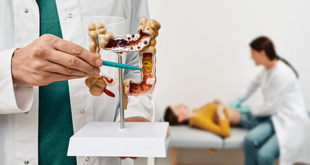 Anatomical intestines model with pathology in doctor hands. Gastroenterologist palpates patient abdomen and examines belly at clinic over background - obrazy, fototapety, plakaty