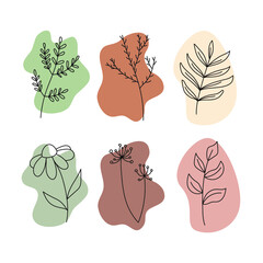 Bohemian Flowers Shapes Color Pallet Vector Illustration Splash Abstract Object