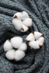 Soft cotton flowers on dark knitted fabric background