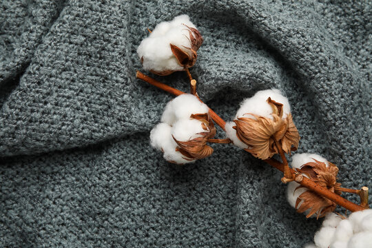 Branch of beautiful cotton flowers on dark knitted background