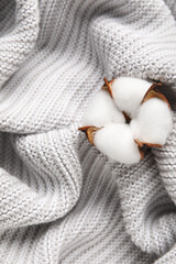 Beautiful cotton flower on light knitted fabric background, closeup