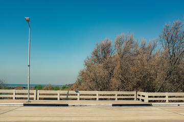 bridge in the park