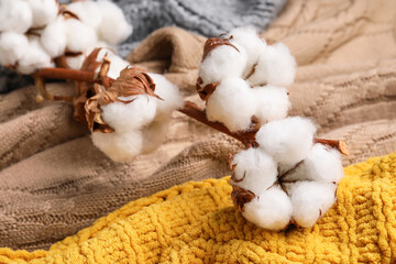 Branch of soft cotton flowers on different fabric background
