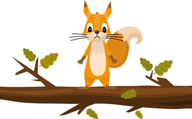 Cute cartoon squirrel Holding Acorn. Funny little brown squirrel collection. Emotion little animal. Cartoon animal character design. Flat vector illustration isolated on white background.