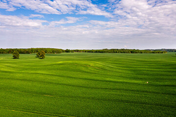 view from top to countryside with green agricultural fields, lonely trees and forests
