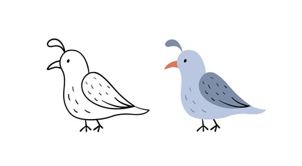 Hand-drawn quail. Vector Illustration bird. Contour and color version.