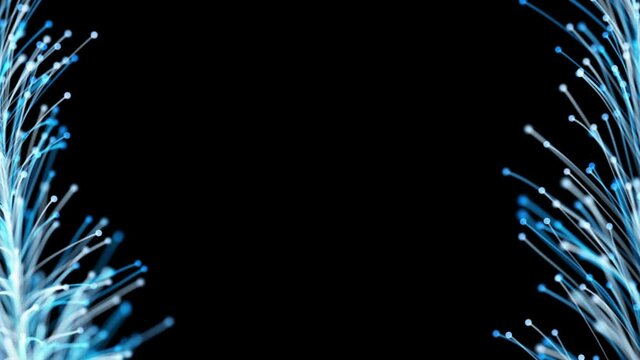 New Year's stylish animation of bright branches dynamically and elegantly growing on a black background. Magical fabulous vegetation. The perfect background and element of any design