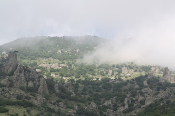 misty morning in the mountains