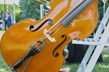 Violonchelo